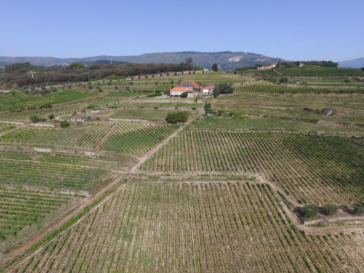 لاميغو Quinta Da Portela - Casa Visconde Arneiros المظهر الخارجي الصورة