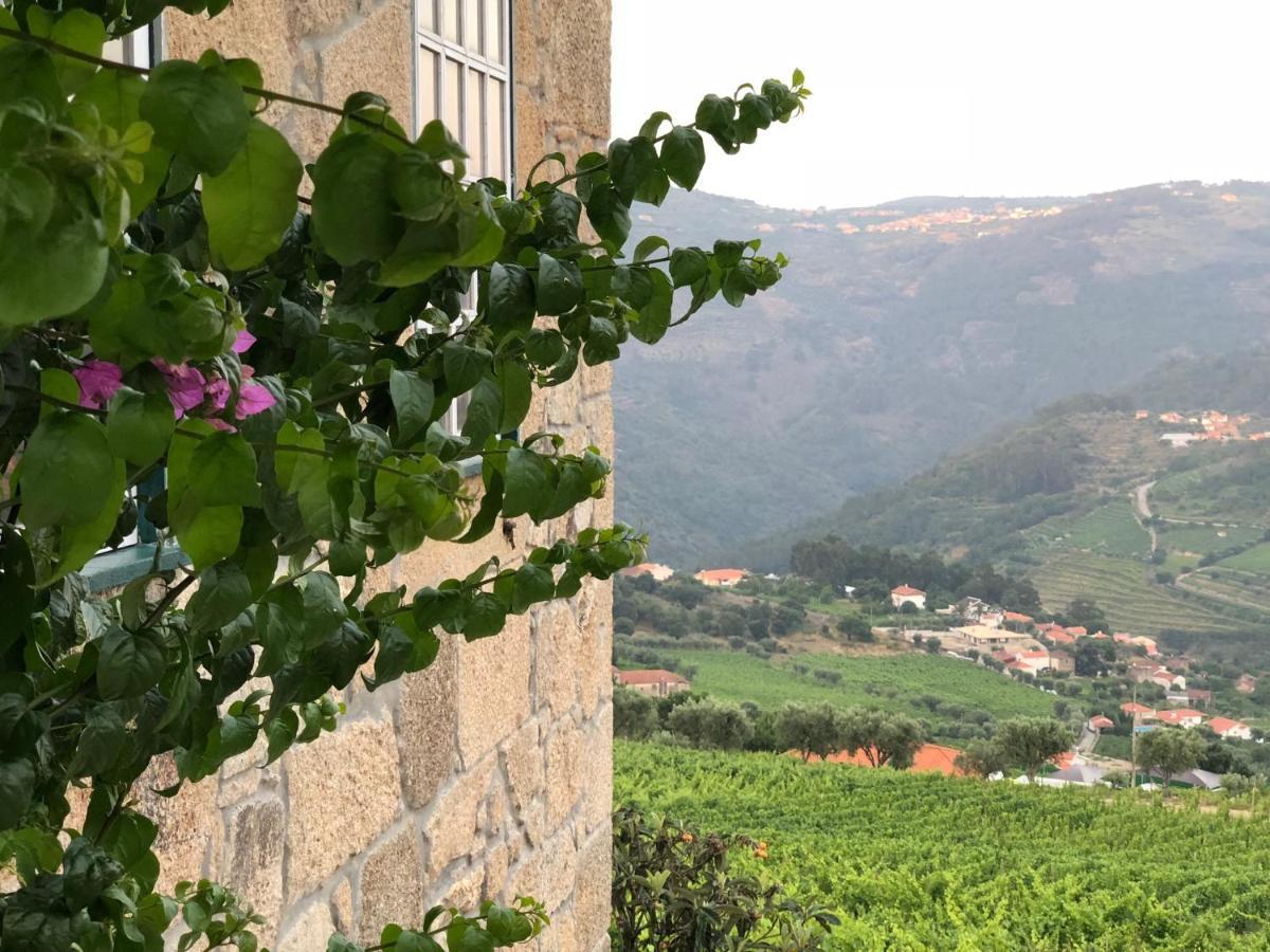 لاميغو Quinta Da Portela - Casa Visconde Arneiros المظهر الخارجي الصورة